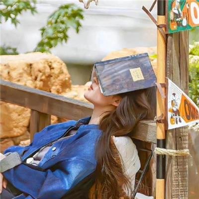 偷怀上司崽后，我辞职了